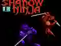 Laro Shadow of the Ninja online