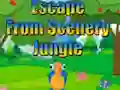 Laro Escape from Scenery Jungle online