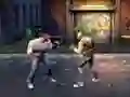 Laro Hood Fighter online