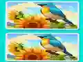 Laro Spot the Difference The Garden online