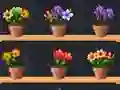 Laro Good Flower Master online