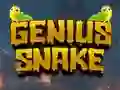 Laro Genius Snake online