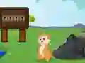 Laro Rescue the Squirrel from Stone online