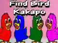 Laro Find Bird Kakapo online