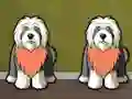 Laro Find Dog Bailey online