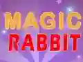 Laro Magic Rabbit online