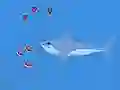 Laro Oceans Shees online