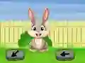 Laro Springtime Escape online