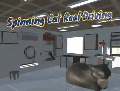 Laro Spinning Cat Real Driving online