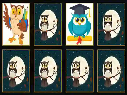 Laro Cute Owl Memory online