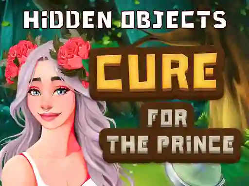 Laro Hidden Objects Cure For The Prince online