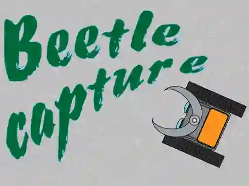 Laro Beetle Capture online