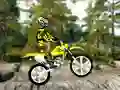 Laro Trial Bike 2 online