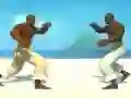 Laro Capoeira fighter online