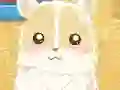 Laro Hamster Love online
