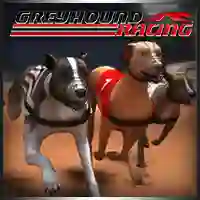 Laro Greyhound Racing online