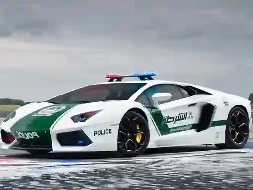 Laro Police Cars Jigsaw Puzzle online