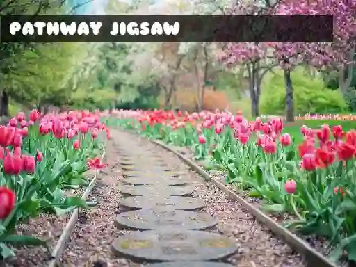 Laro Pathway Jigsaw online