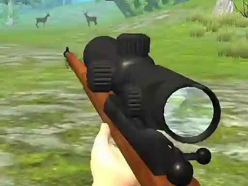 Laro Hunter 3D online