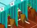 Laro Derby racing online