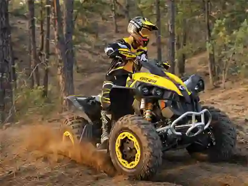 Laro ATV Offroad Puzzle online
