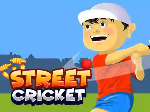 Laro Street Cricket online