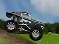 Laro Crazy Mustang online
