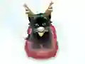 Laro Pet Sledding online