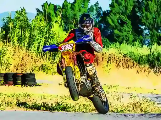 Laro One Wheel Bike Riding online