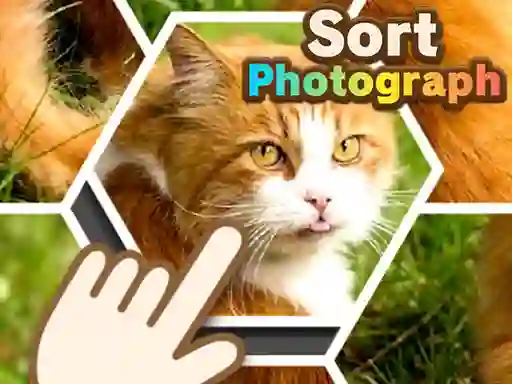 Laro Sort Photograph online