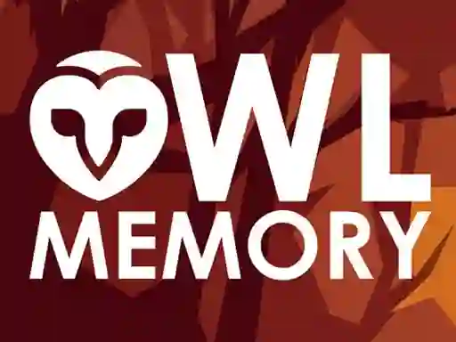 Laro Owl Memory online