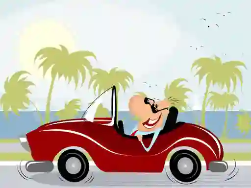 Laro Transportation Vehicles Memory online