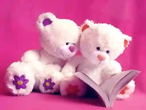 Laro Cute Teddy Bears Slide online
