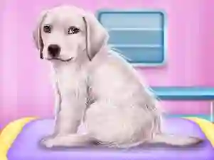 Laro Labrador at the doctor salon online