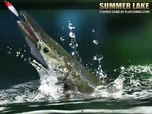 Laro Summer Lake 1.5 online