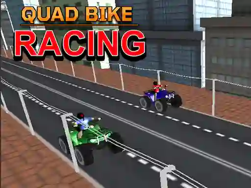 Laro Quad Bike Racing online