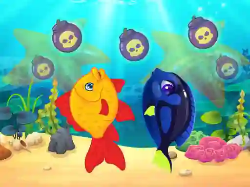 Laro Marine Fish online