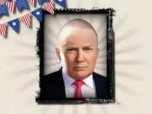 Laro The President of the USA online