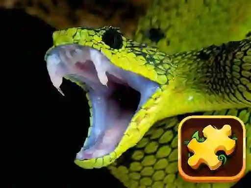 Laro Snake Puzzle Challenge online