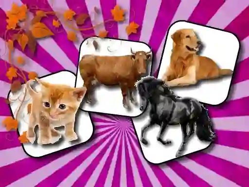 Laro Domestic Animal Memory Challenge online