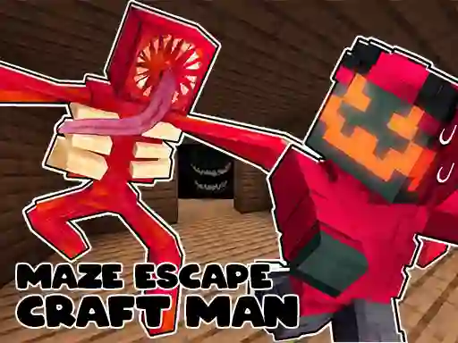 Laro Maze Escape: Craft Man online
