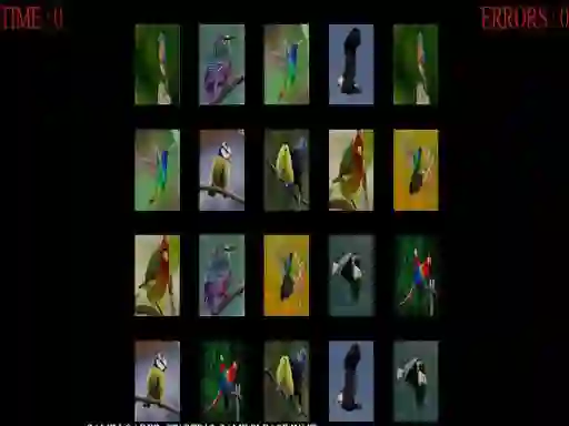 Laro Memorize the birds online