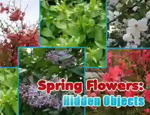 Laro Spring Flowers: Hidden Objects online