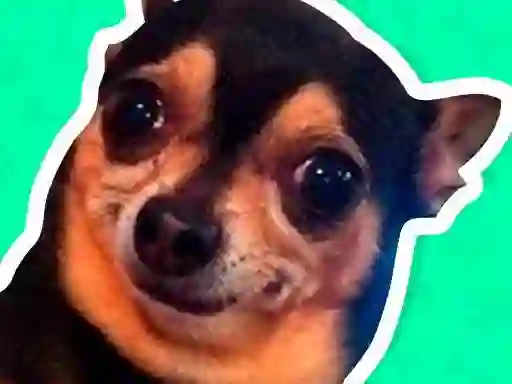 Laro What meme dog are you ? online