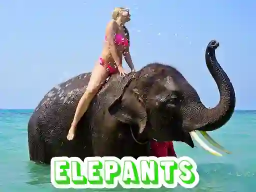 Laro Elephants Puzzle online