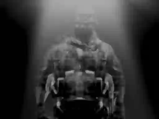 Laro Army FPS Shooting online
