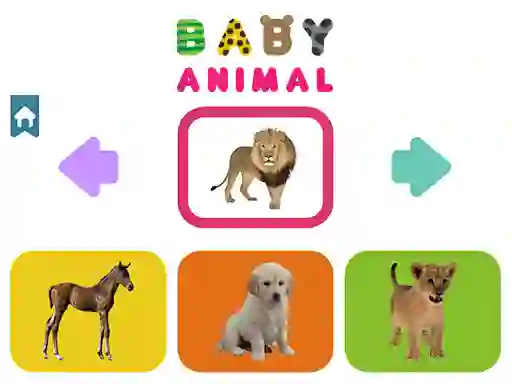 Laro Baby Animal online