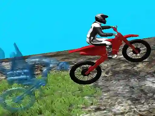 Laro Forest Bike Trials 2019 online