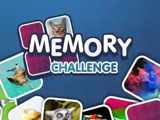 Laro Memory Challenge online
