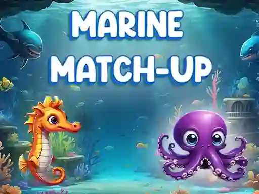 Laro Marine Match Up online